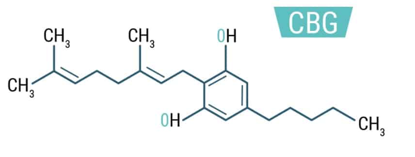 qu'est ce que le cbg