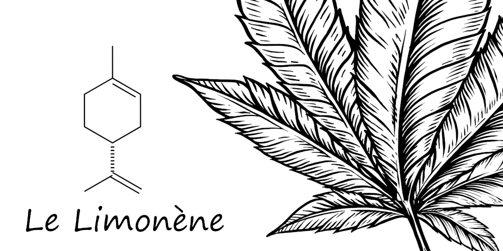 limonène