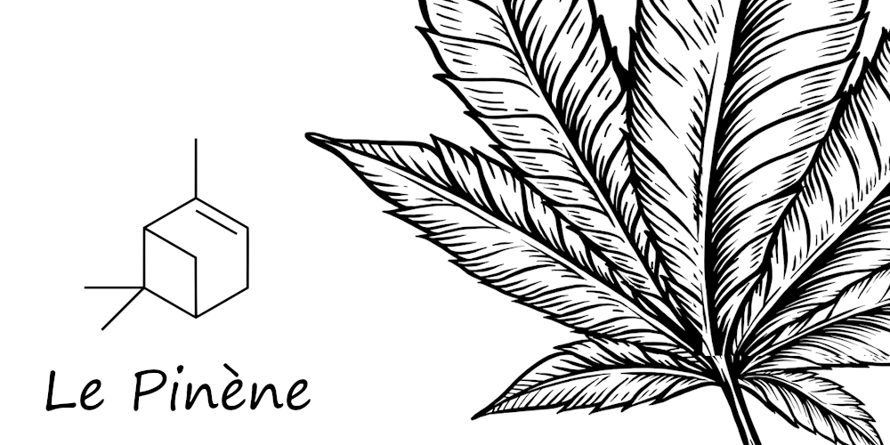 pinène