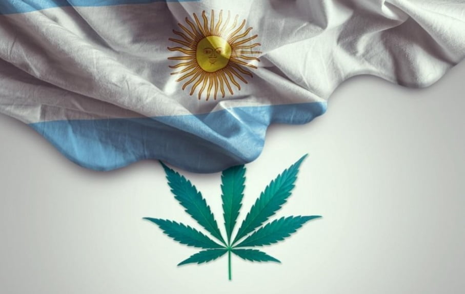 législation cannabis argentine