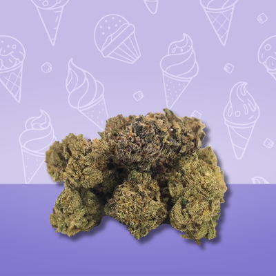 alt="Fleur CBD Dark Saphir en bocal – arômes citron et lavande"