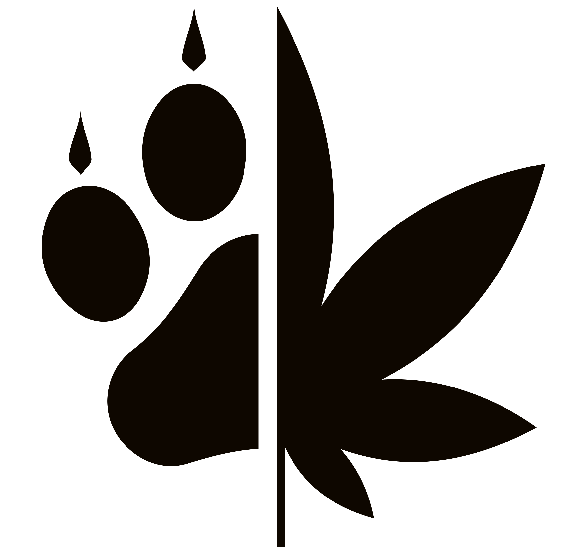 Tallak Paam 50ml – Image 2